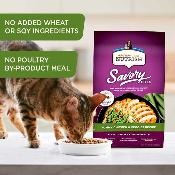 Dry Cat Food H58570