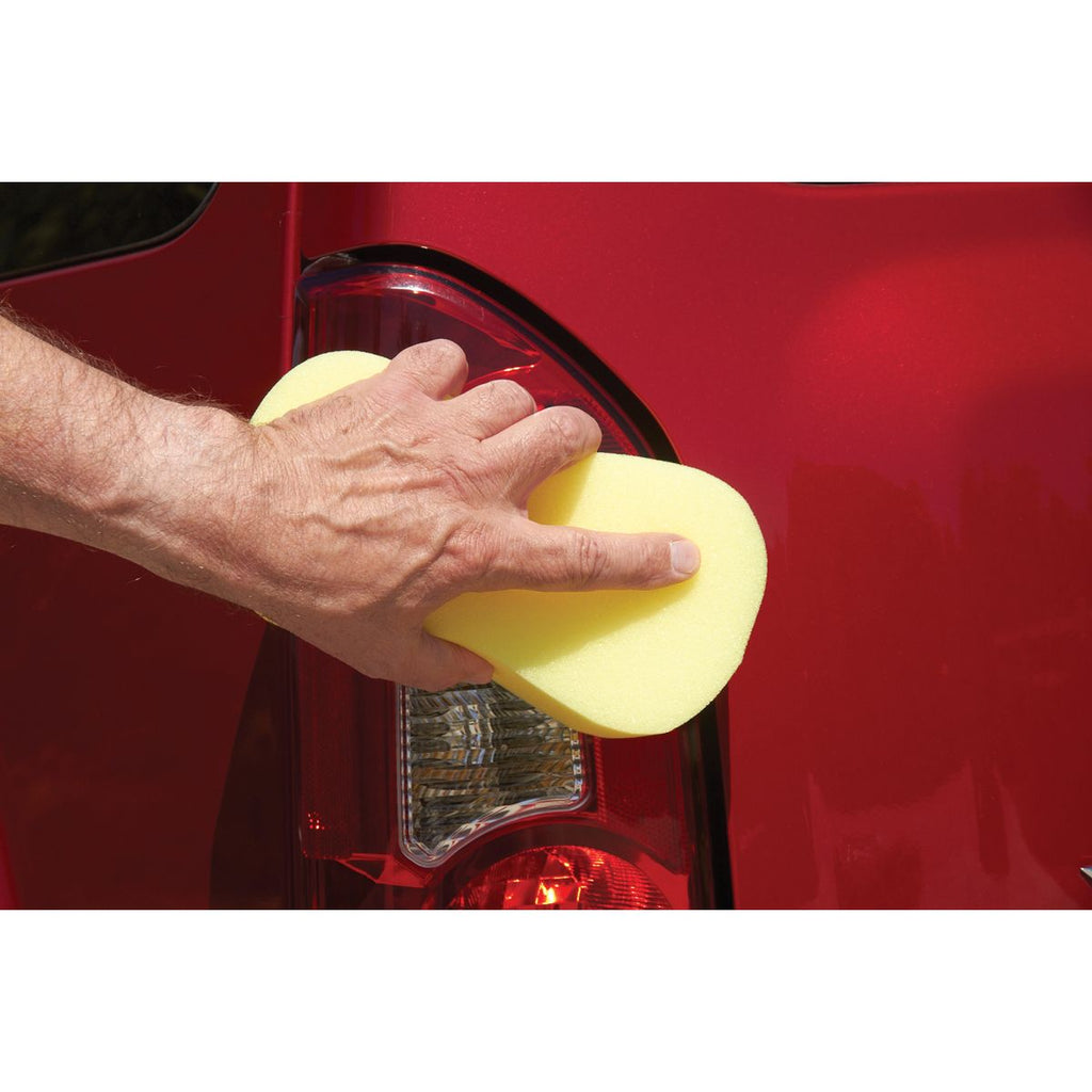 Bone Sponge R6490