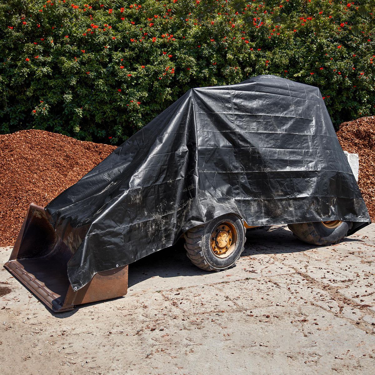 16 ft. x 20 ft. Weather-Resistant Tarp D72678