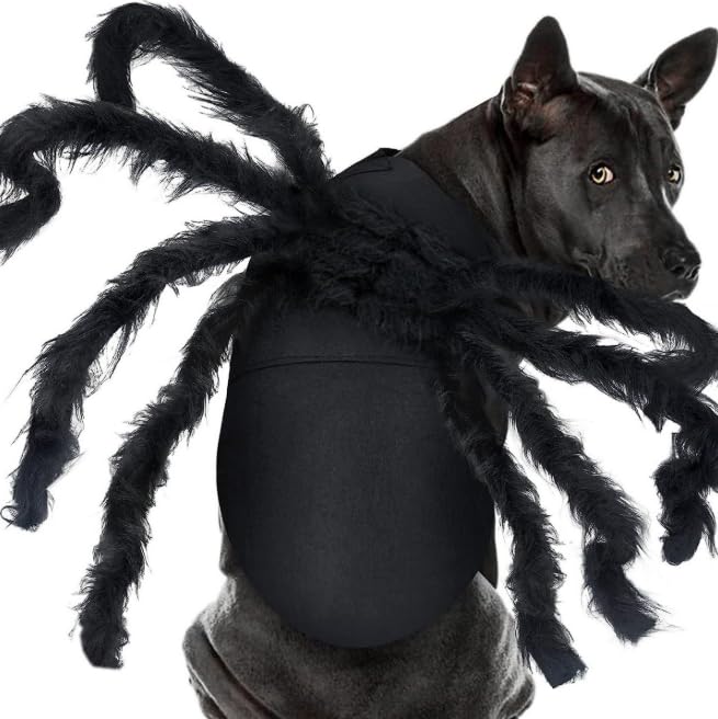 Luminous Pet Halloween Costume Y742012