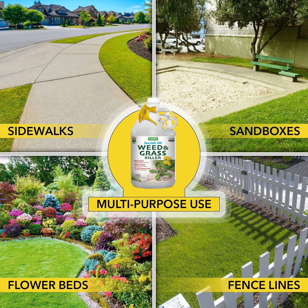 Sea Salt Weed & Grass Killer 128 oz G14849