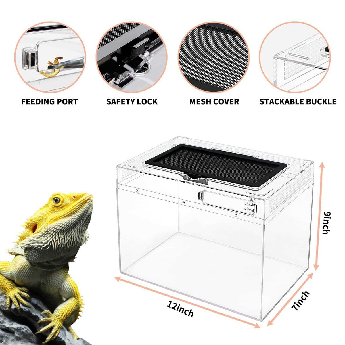 Mini Reptile Terrarium Tank with Full View Y8333