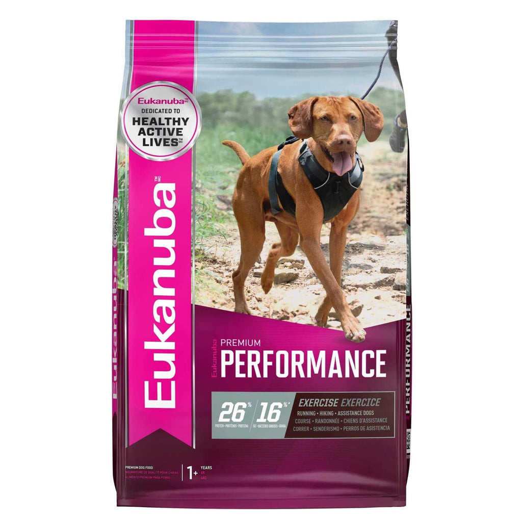 Dry Dog Food X16705