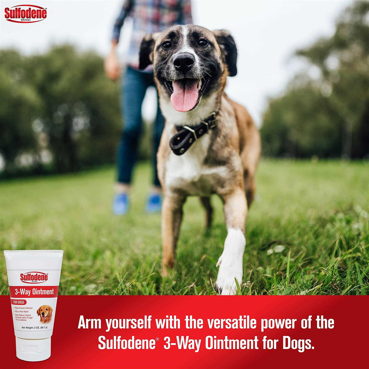 Dog Ointment R1049