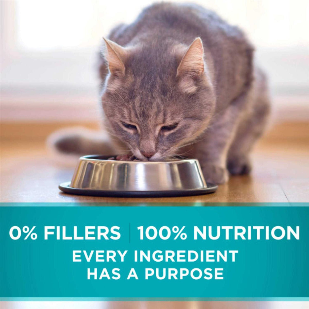 High Protein Whitefish & Rice Wet Cat Food C354815