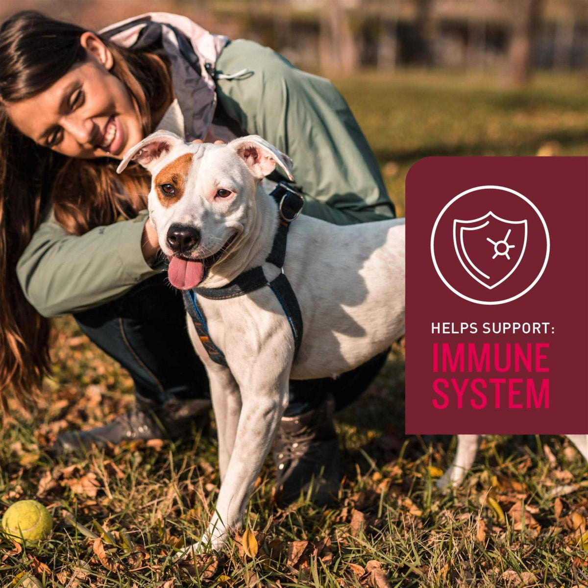 5-in-One Soft Chews for Dogs W43249