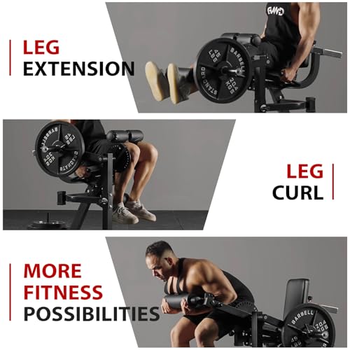 Adjustable Leg Extension and Curl Machine U519