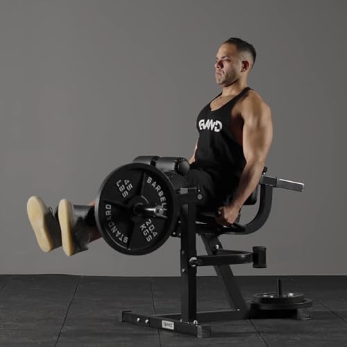 Adjustable Leg Extension and Curl Machine U519