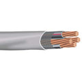 Copper Service Entrance Cable 25FT Q17467