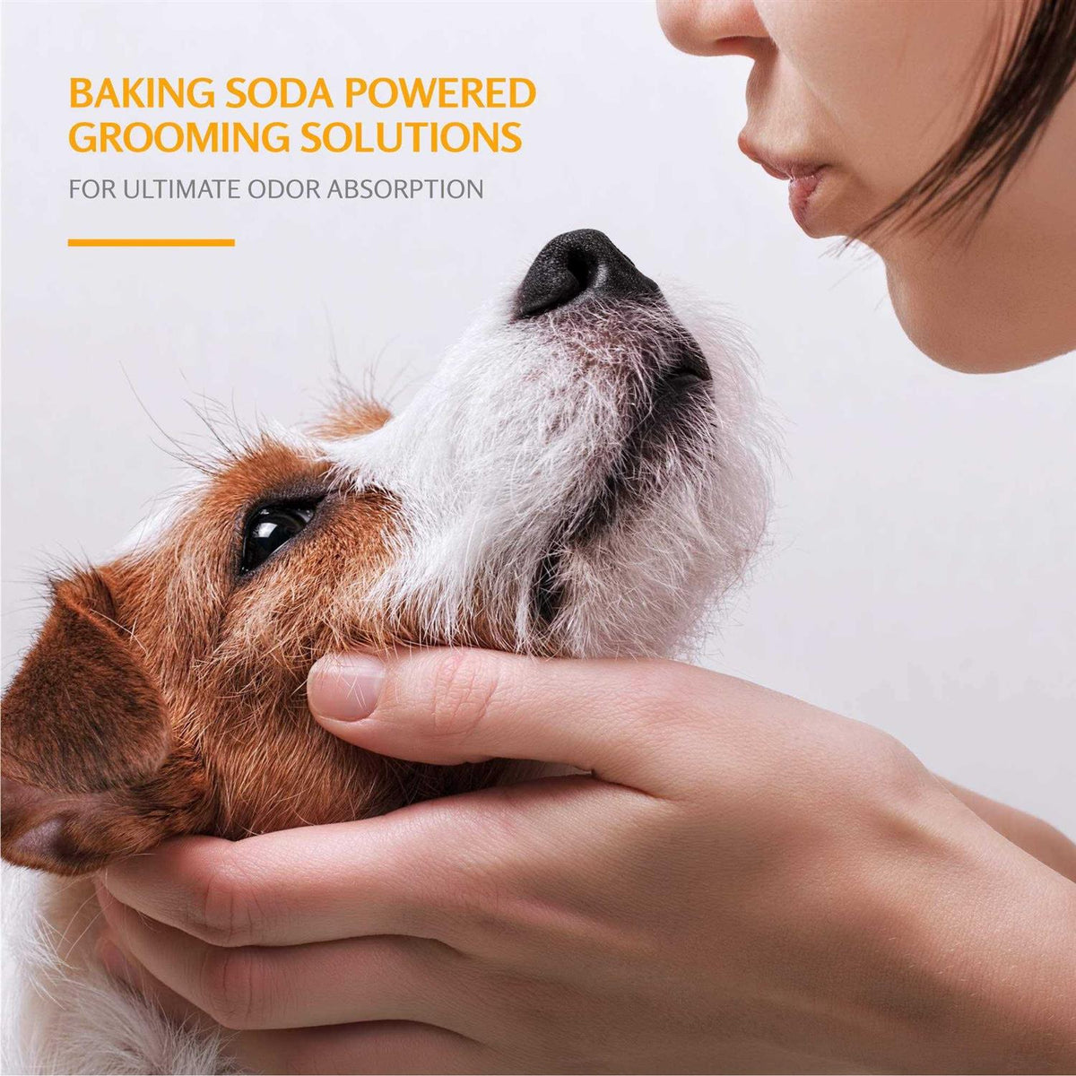 Super Deodorizing Dog Shampoo A429367