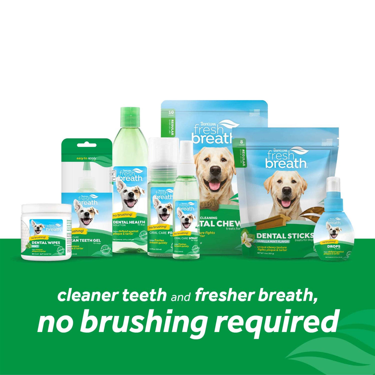 Fresh Breath Oral Care Spray B9874