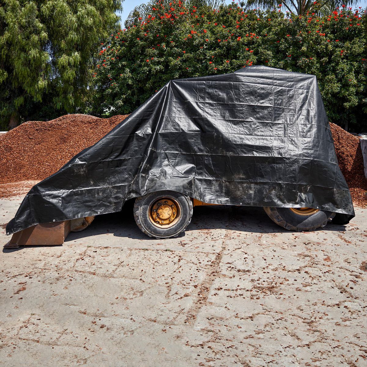 16 ft. x 20 ft. Weather-Resistant Tarp D72678