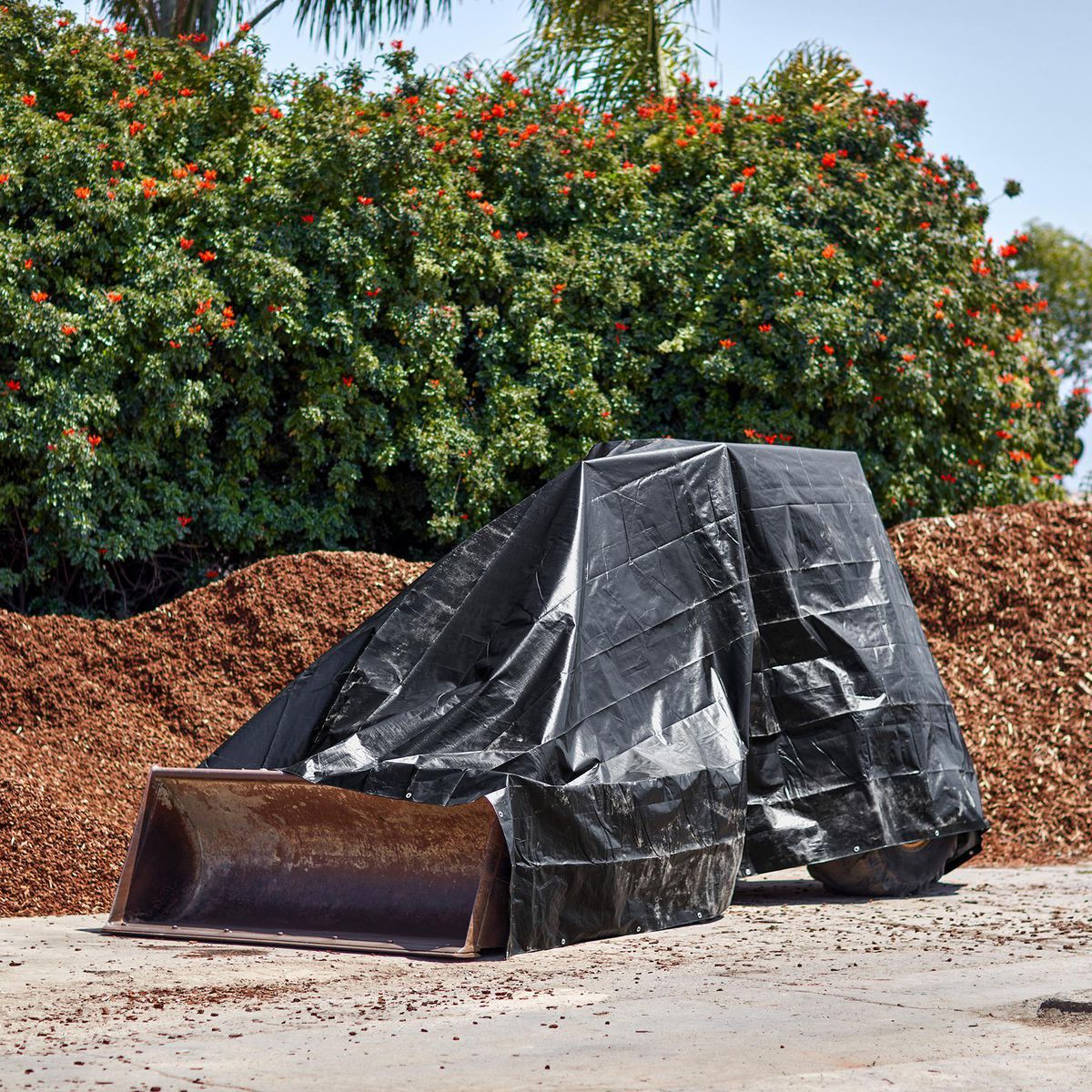 16 ft. x 20 ft. Weather-Resistant Tarp D72678