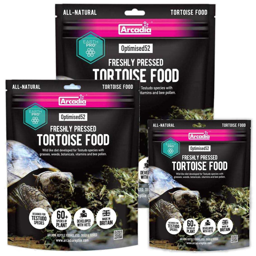 Tortoise Food H123548