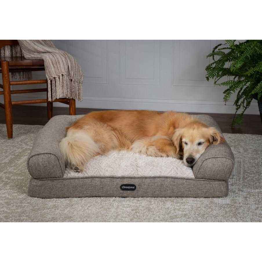 Cat & Dog Bed O727780