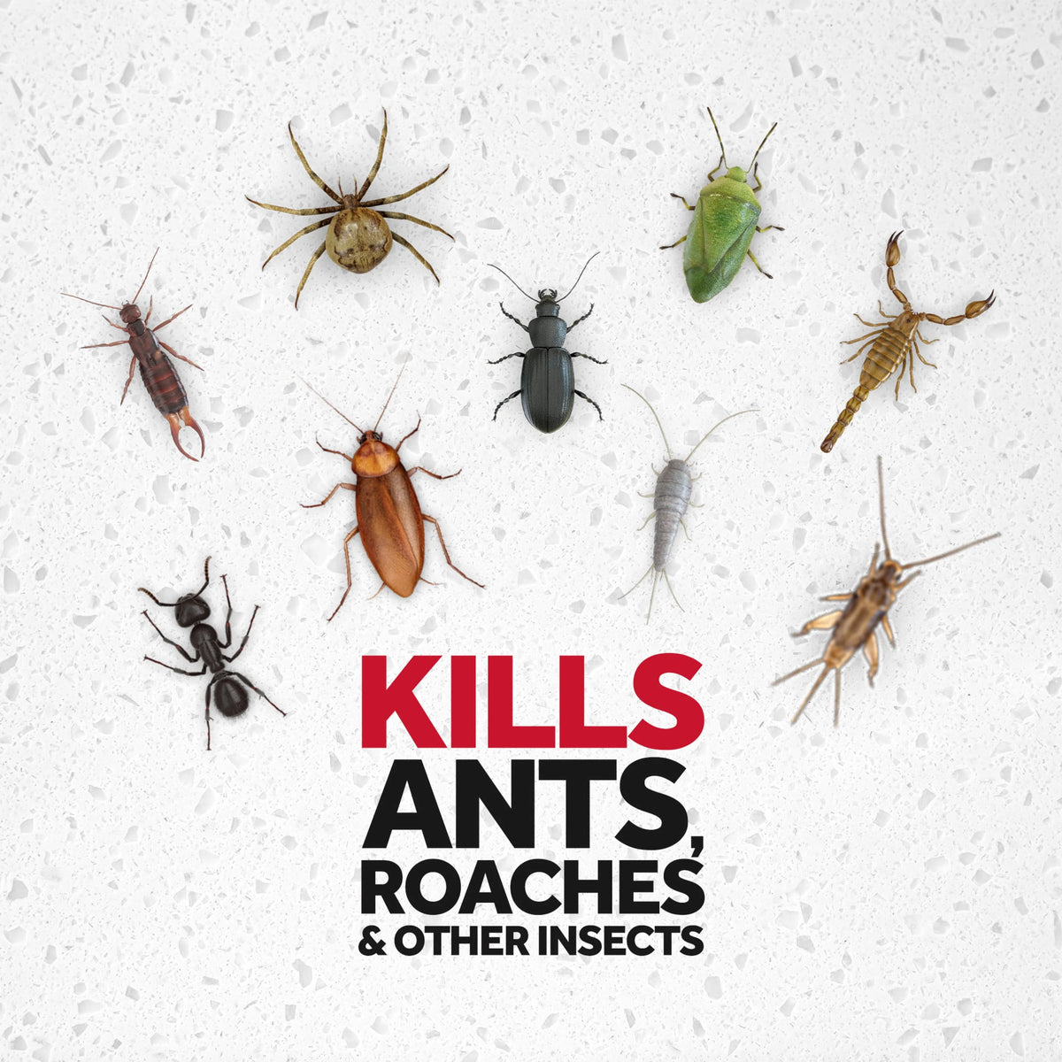 Fragrance-Free Insect Killer Spray 20 oz 2 Count R541