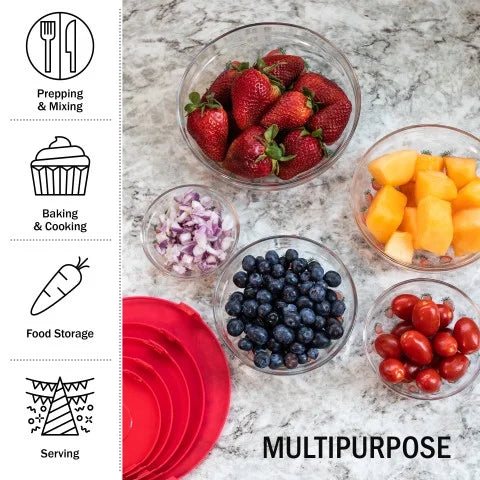 20-Piece Glass Food Storage Bowl and Lids Set E541