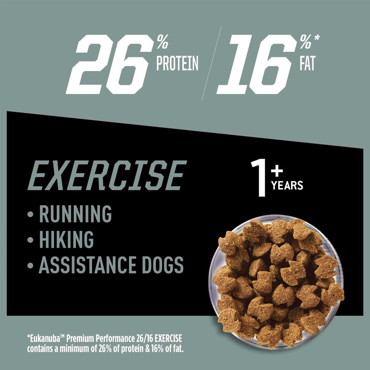Dry Dog Food X16705