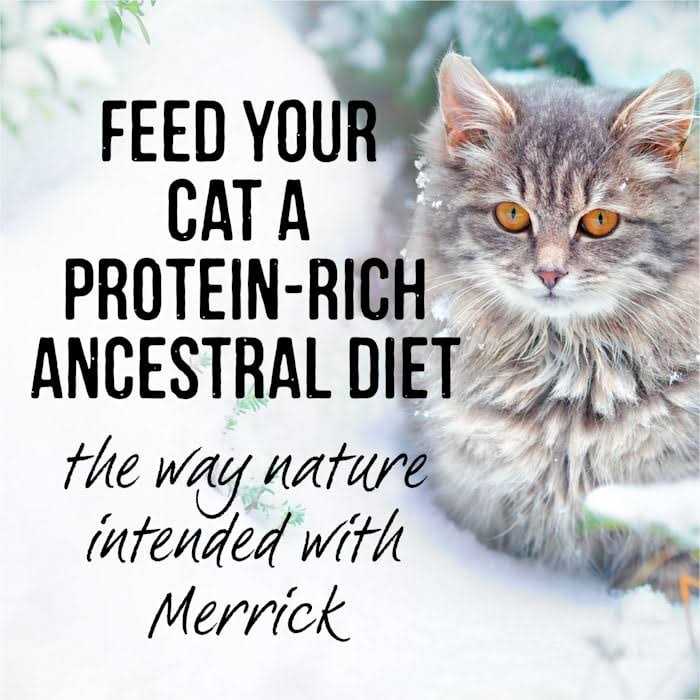 Real Cuts Cat Food R242632