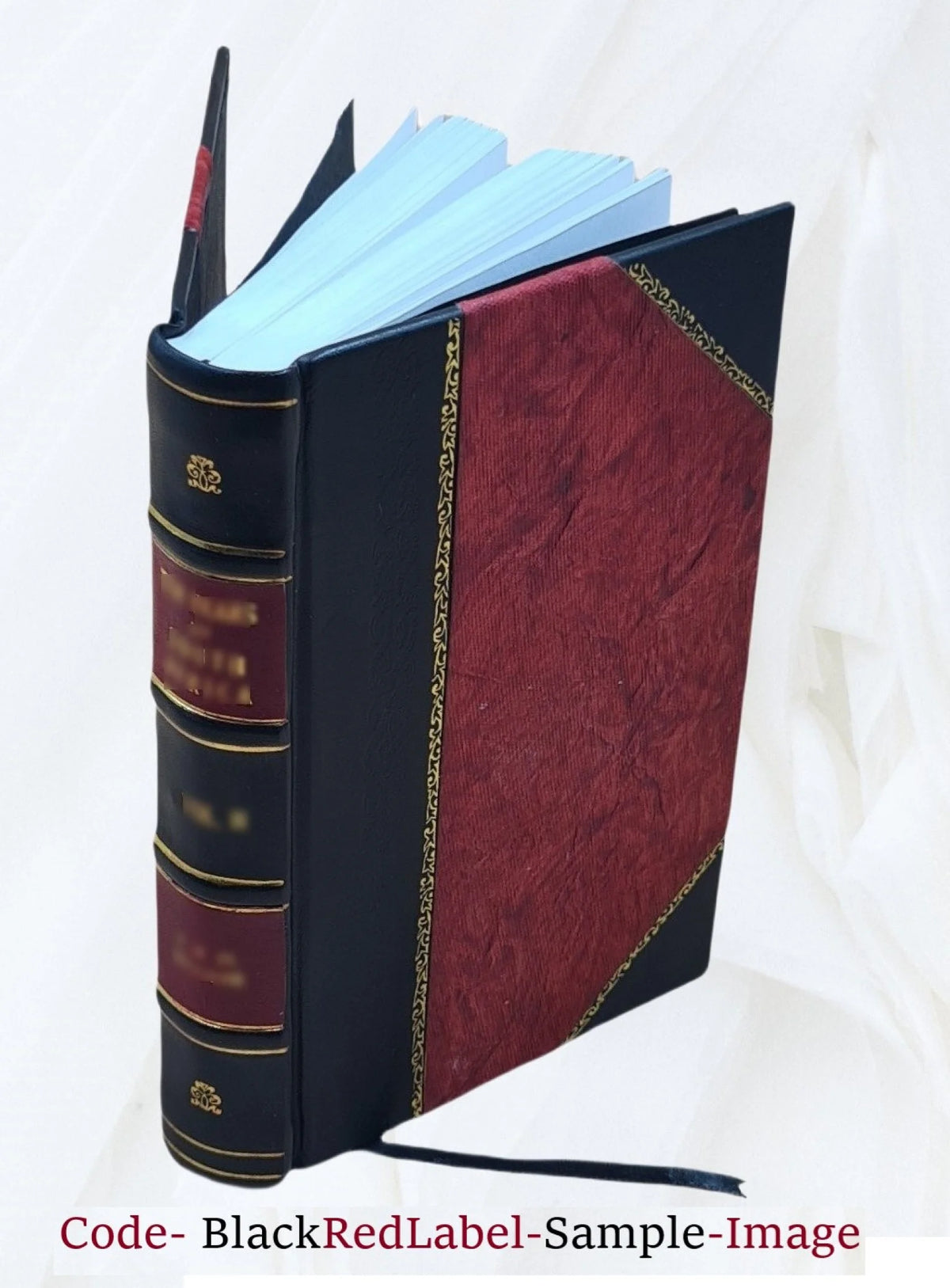 1903 Leather Bound U488960