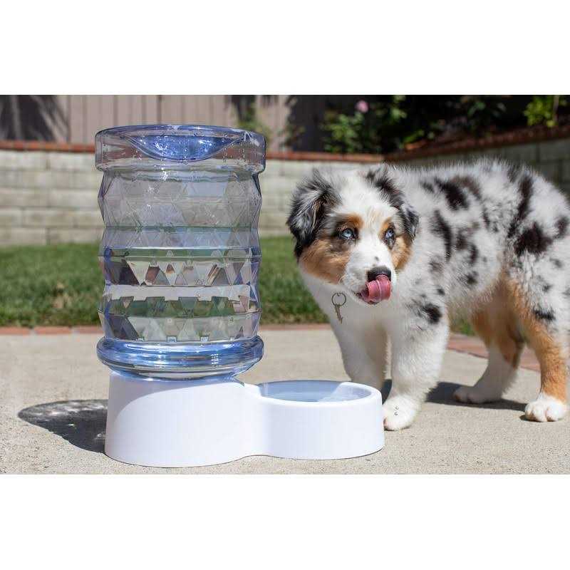 2.5 Gallon Pet Water Dispenser G79601