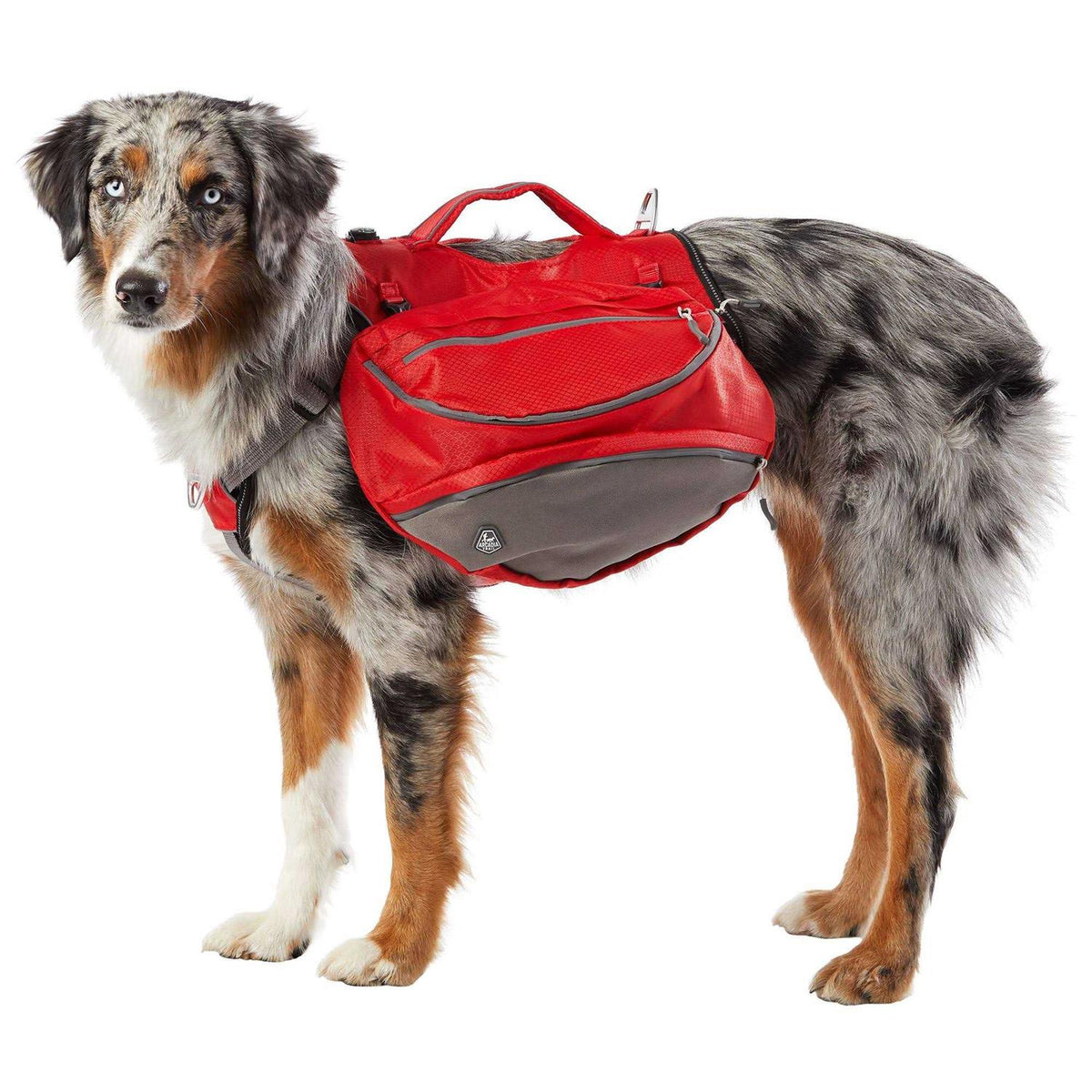 Backpack Harness B23175