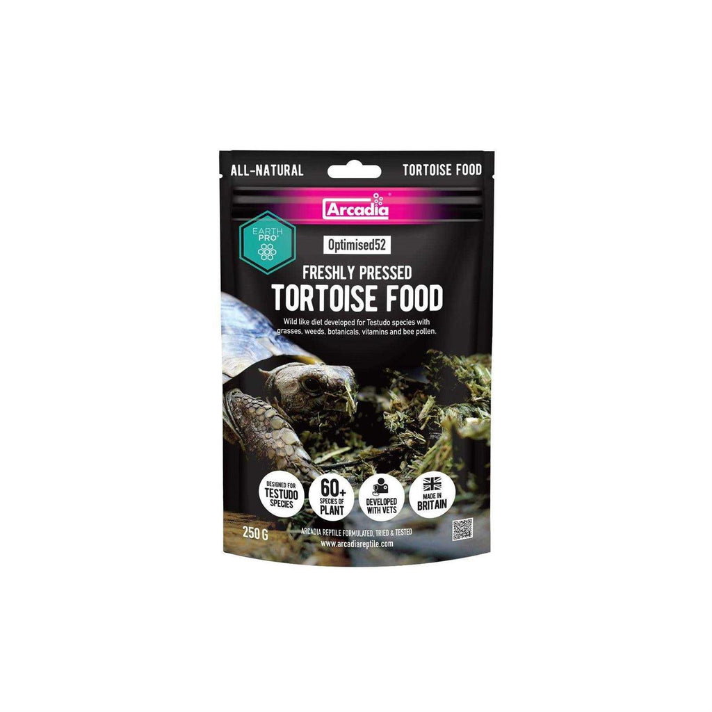 Tortoise Food H123548
