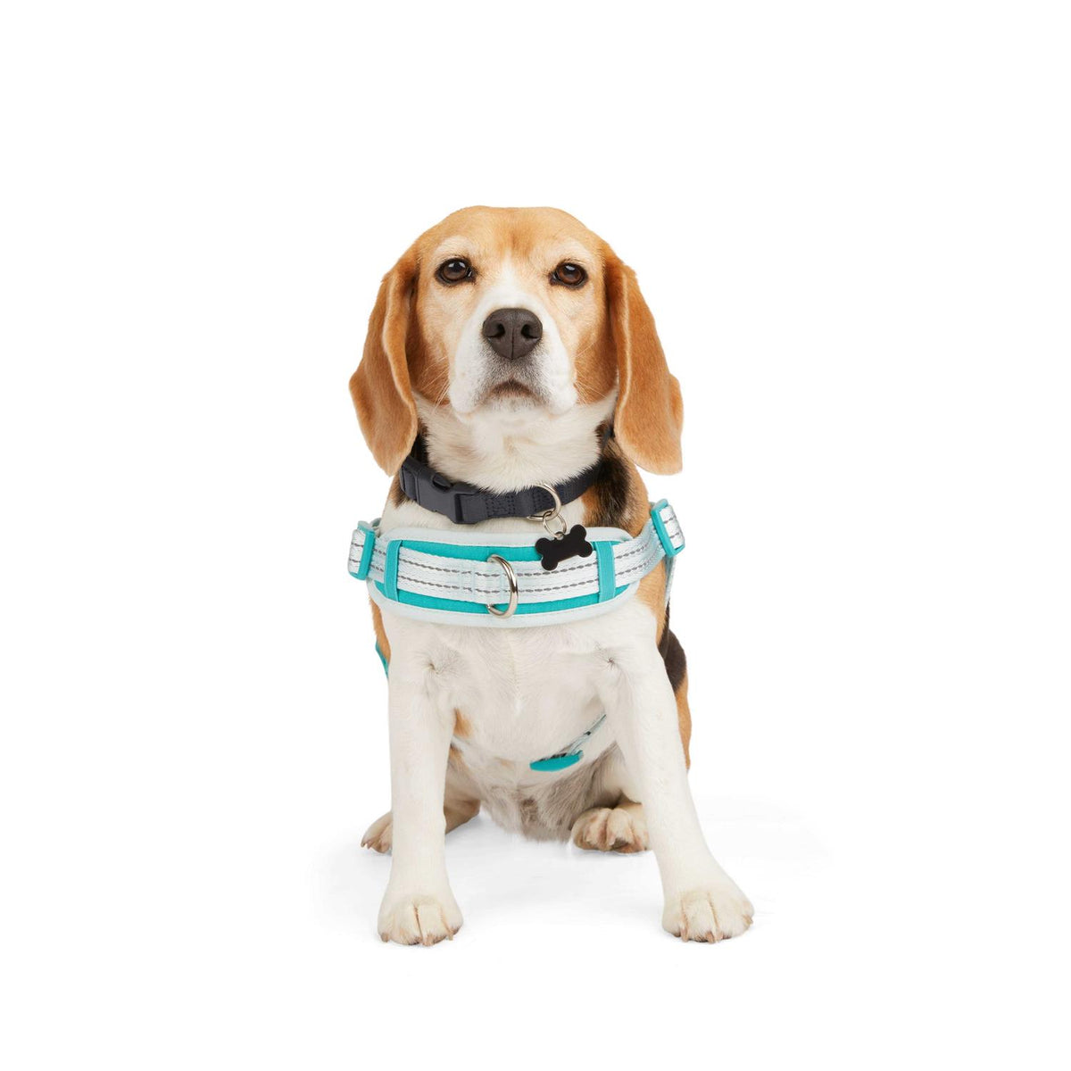 Easy On Training Dog Harness M52384