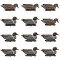 12 Pack Greenwing Teal Floater Duck Decoys N78673