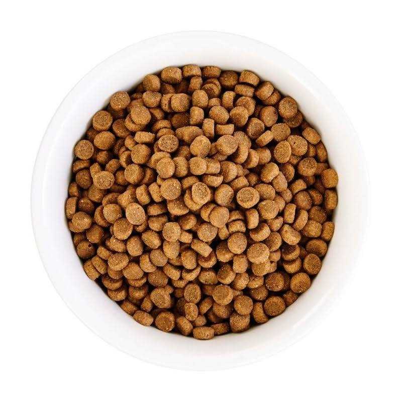 Grain Free Chicken Formula Dry Cat Food C329471