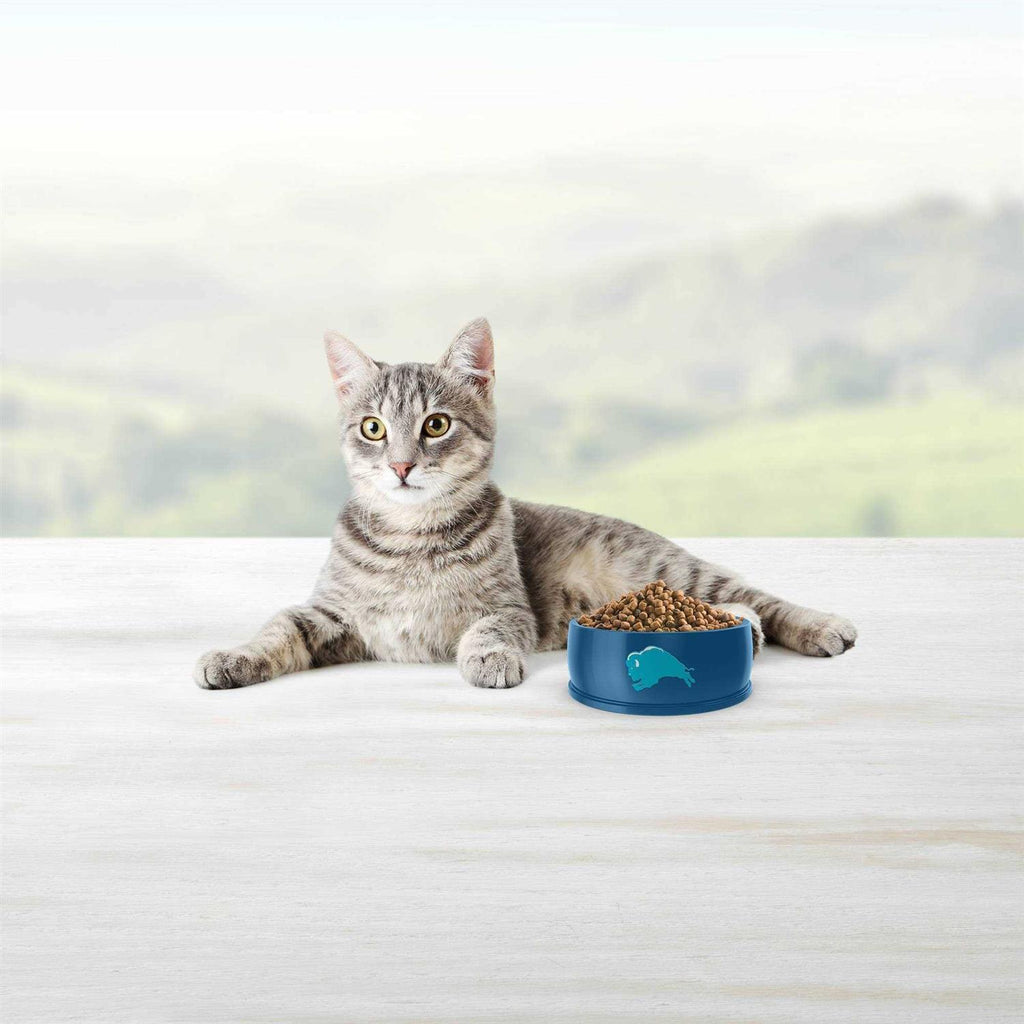 Blue Indoor Hairball Control Adult Dry Cat Food Q3413