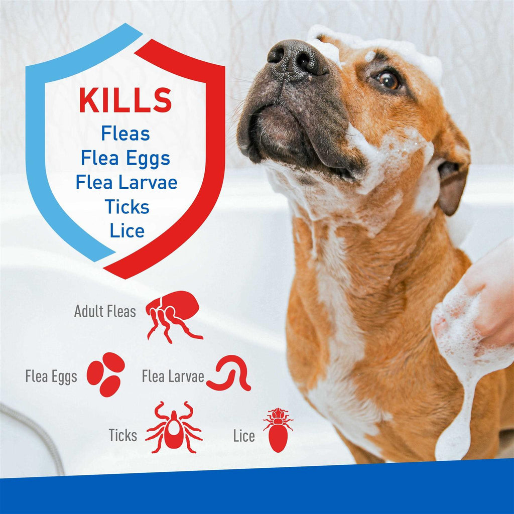 Flea Tick Shampoo Y2776