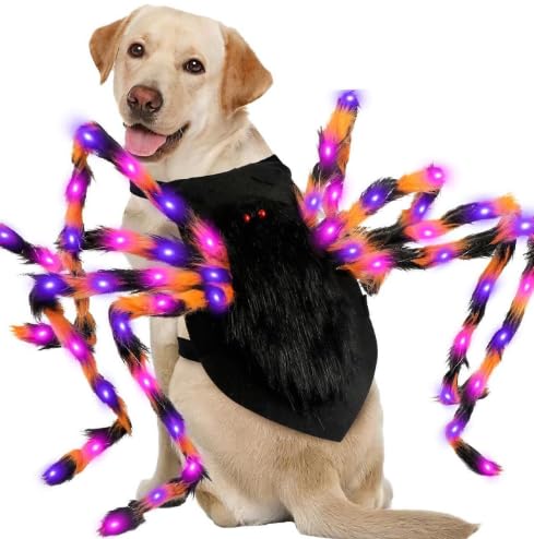 Luminous Pet Halloween Costume Y742012