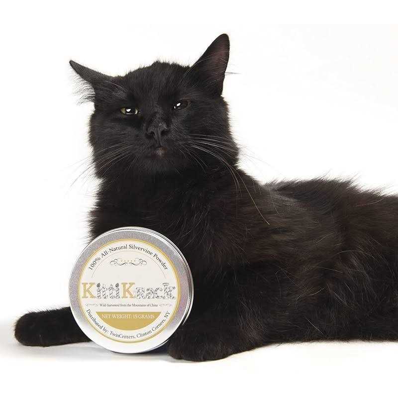 Organic Silvervine Catnip Powder Substitute H9412