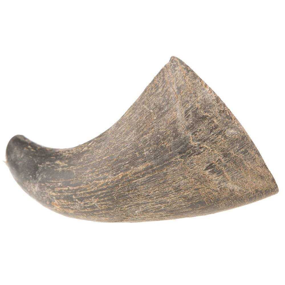 Dog Water Buffalo Horn Small W685118
