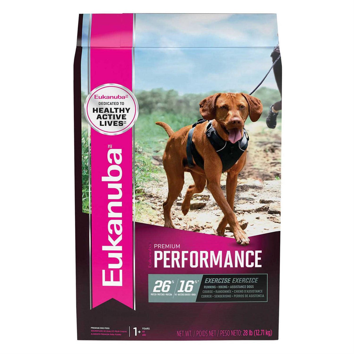 Dry Dog Food X16705