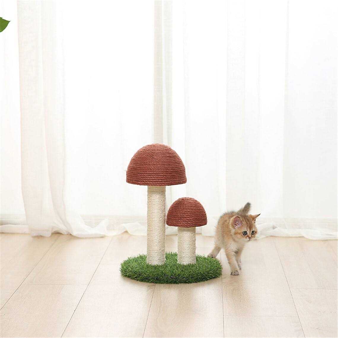 Mushroom Cat Scratcher F161704