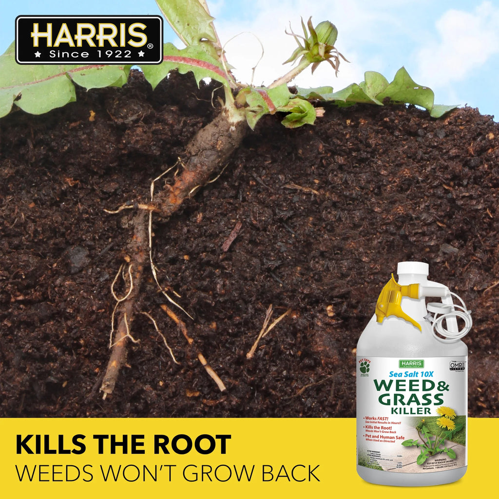 Sea Salt Weed & Grass Killer 128 oz G14849
