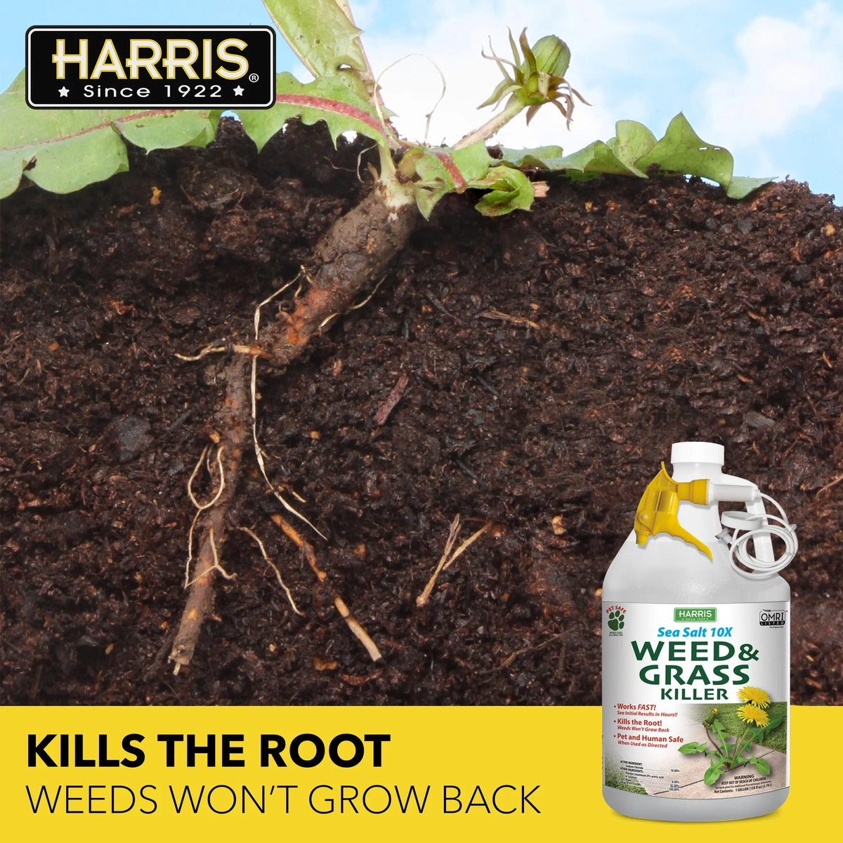 Sea Salt Weed & Grass Killer 128 oz G14849