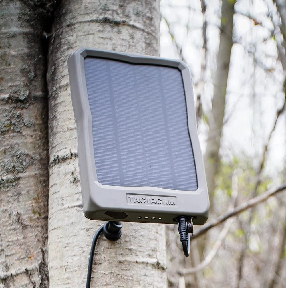 Cellular Trail Camera with Solar Panel C94343