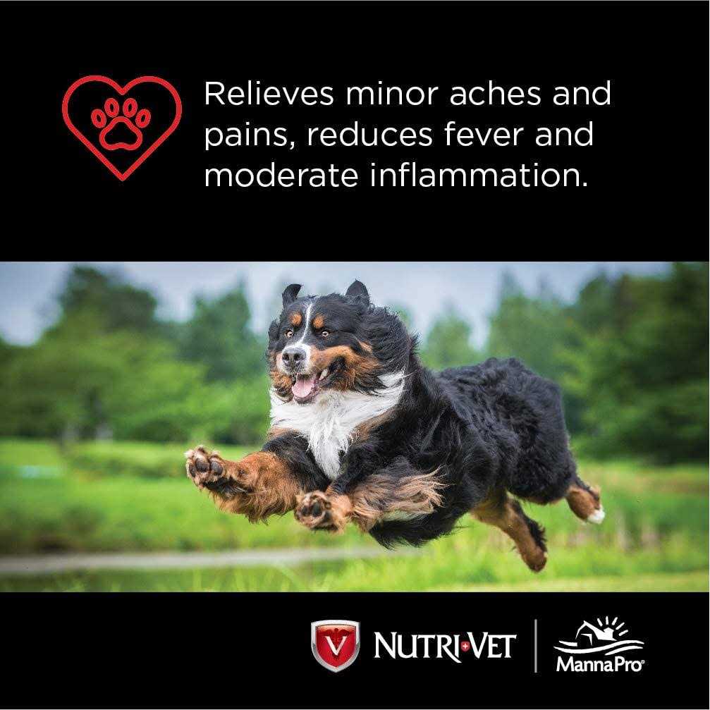 Aspirin for Large Dogs K749090